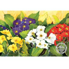 WATERMARK GREETING CARD PRIMULA